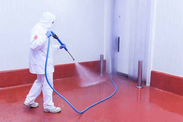 Best Warehouse Cleaning  in Marlow Heights, MD